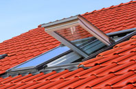 Aberdare roof window